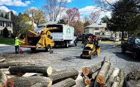 Best Firewood Processing and Delivery  in New Smyrna Beach, FL